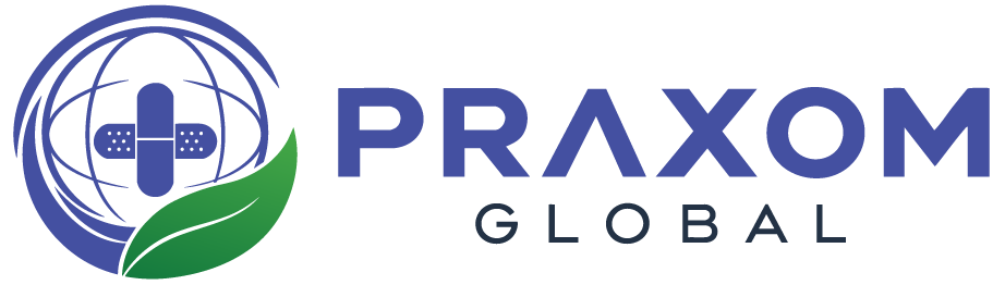 praxom.wpwebdevpune.com